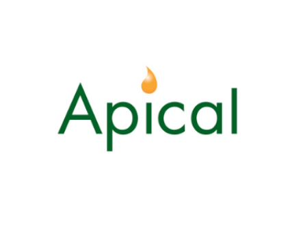 Apical